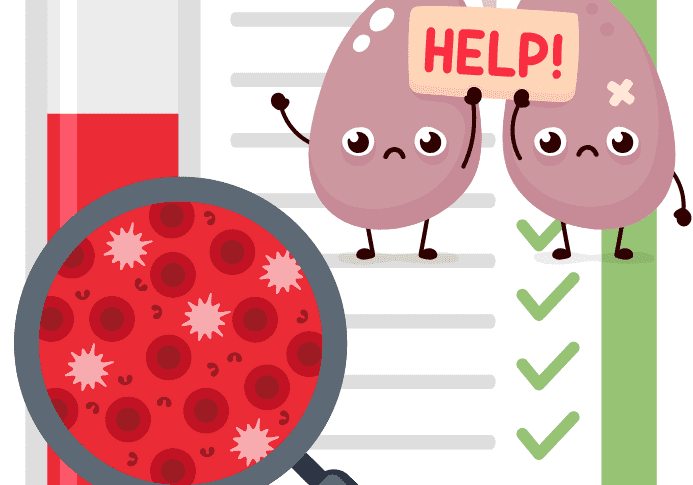 Medical illustration with kidneys and test tube